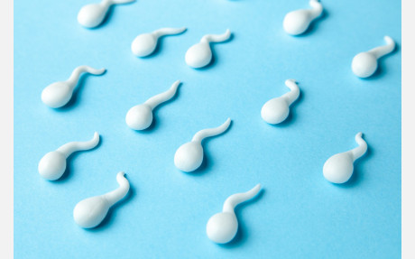 Как улучшить вкус спермы?