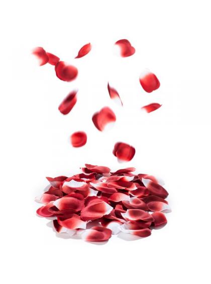 Лепестки роз Rose Petal Explosion Bijoux Indiscrets Лепестки роз романтика